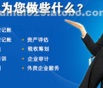 税务财务咨询 专业服务助力企业高效发展